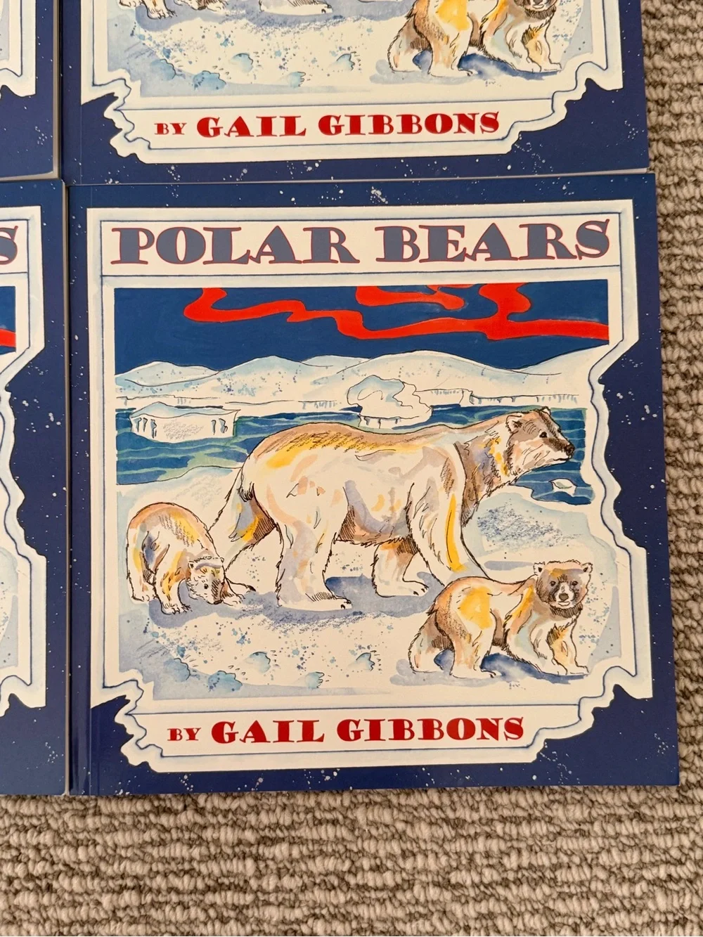 Large Lot Polar Bear Children’s Book Lot – 33 Books – Classroom / Homeschool